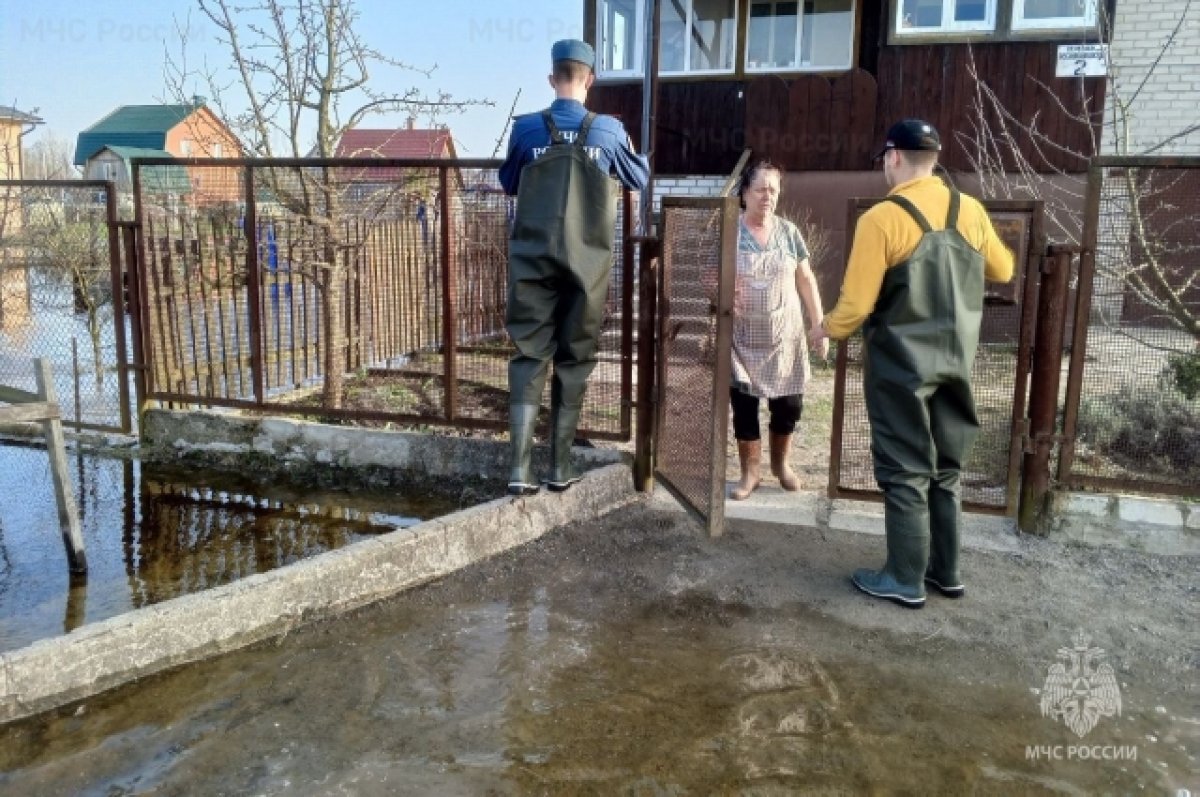 Еще 49 приусадебных участков освободились от воды в Брянской области