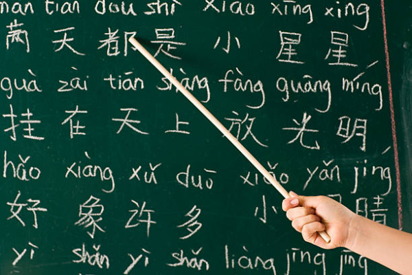 За или против: самарцы высказались по поводу введения китайского языка в школах